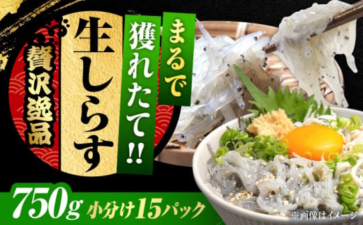 しらす 冷凍 シラス 小分け 干し 生しらすのプリッした食感と塩味が抜群！生しらす50g×15個 冷凍 シラス 鮮魚 ギフト 海鮮丼 広島県産 江田島市/三島水産株式会社 [XCN003] 1745800 - 広島県江田島市