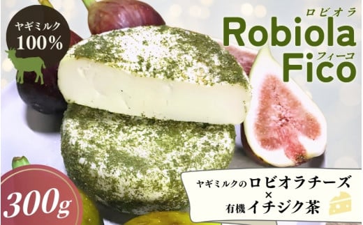 Robiola  Fico　1個（300g） / チーズ 山羊 ヤギ  和歌山県 田辺市【dal004】 1379924 - 和歌山県田辺市