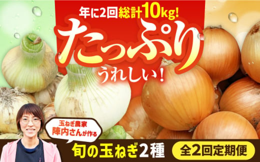 【2回定期便】農家直送 玉ねぎ定期便 5kg/回 【玉葱農家 陣内ちひろ】 [IAO026] 1745425 - 佐賀県白石町