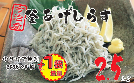 【数量限定】10ノットしらす 2.5キロ たっぷり 満足 釜揚げ 今治産 宮窪産 家庭用 しらす シラス 小分け 個包装 冷凍 しらす丼 シラス丼 今治市【V002270KG2.5】 1746816 - 愛媛県今治市