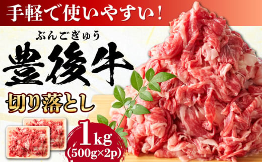 【期間限定】 小分けで便利！おおいた豊後牛 牛肉 切り落とし 1kg (500g×2)  日田市 / 株式会社MEAT PLUS　肉 牛肉 和牛 [AREI003] 1745874 - 大分県日田市