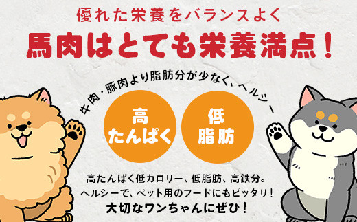 【定期便3回】ペット用 熊本加工 馬肉 切り落とし【合計3kg】