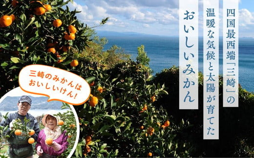 愛媛県伊方町のふるさと納税 【先行受付】【家庭用】清見オレンジ 10kg | みかん 柑橘 ミカン 蜜柑 mikan 果物 フルーツ 糖度 甘い きよみ タンゴール 温州 オレンジ ミックス 愛媛県 伊方町 Misaki Base ※2025年3月中旬～4月中旬頃に順次発送予定 ※離島への配送不可