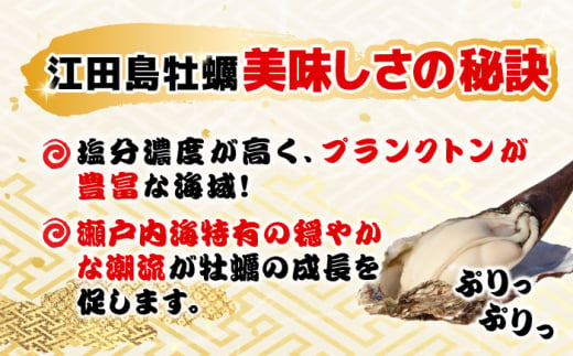 広島県江田島市のふるさと納税 【3月15日（土）着】特選 牡蠣三昧！【生牡蠣】広島牡蠣　殻付き3kg 牡蠣 かき カキ 生牡蠣 殻付き 広島 江田島市/株式会社門林水産[XAO009]