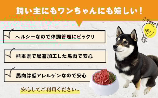 【定期便3回】ペット用 熊本加工 馬肉 切り落とし 【合計3kg】