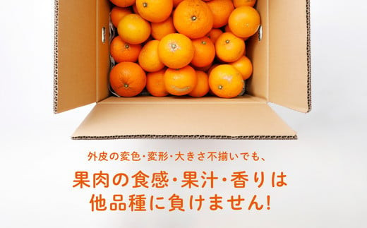 愛媛県伊方町のふるさと納税 【先行受付】【家庭用】清見オレンジ 10kg | みかん 柑橘 ミカン 蜜柑 mikan 果物 フルーツ 糖度 甘い きよみ タンゴール 温州 オレンジ ミックス 愛媛県 伊方町 Misaki Base ※2025年3月中旬～4月中旬頃に順次発送予定 ※離島への配送不可