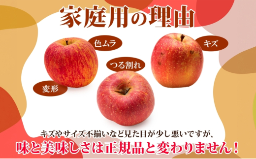12月発送】 家庭用 サンふじ 王林 約5kg りんご 林檎 リンゴ