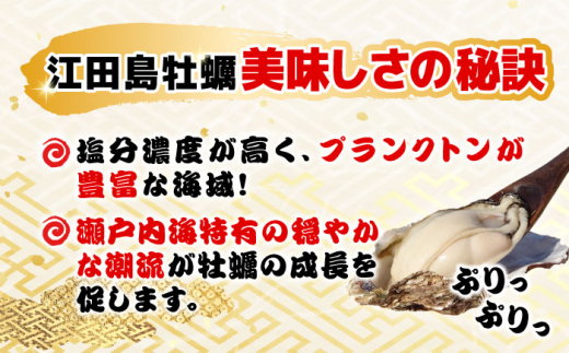 広島県江田島市のふるさと納税 【2月27日（木）着】特選 牡蠣三昧！【生牡蠣】広島牡蠣　むき身2kg 牡蠣 かき カキ 料理 魚貝類 広島 江田島市/株式会社門林水産[XAO006]