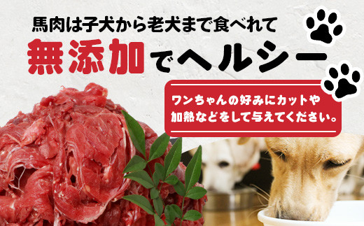 【定期便3回】ペット用 熊本加工 馬肉 切り落とし 【合計3kg】