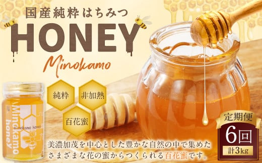 【6ヶ月定期便】MINOKAMO HONEY はちみつ 1本（500g）×6回 ｜ 藤井養蜂 蜂蜜 ハニー 純粋 非加熱 百花蜜 国産 定期便 岐阜 1467461 - 岐阜県美濃加茂市