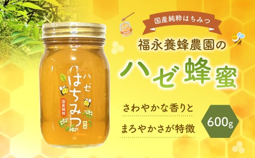 国産 純粋 福永養蜂農園のハゼ蜂蜜 （600g×1本） はちみつ ハニー 蜂蜜 ハチミツ 熊本県 宇城市 1760023 - 熊本県宇城市