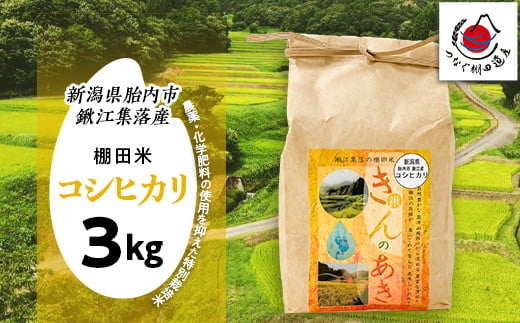 棚田米きんのあき3kg 新潟県胎内市鍬江集落産 コシヒカリ 特別栽培米 1805382 - 新潟県胎内市