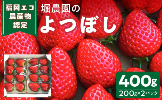 【先行予約】福岡県エコ農産物認定　堀農園のよつぼし400g_【先行予約】 エコ農産物認定 堀農園 よつぼし 200g × 2パック 計 400g 完熟 食べ頃 いちご チルド便 適度 食感 酸味 強くない 豊か 風味 広がる バランス 四つ星級 お取り寄せ 福岡県 久留米市 送料無料_Fi073