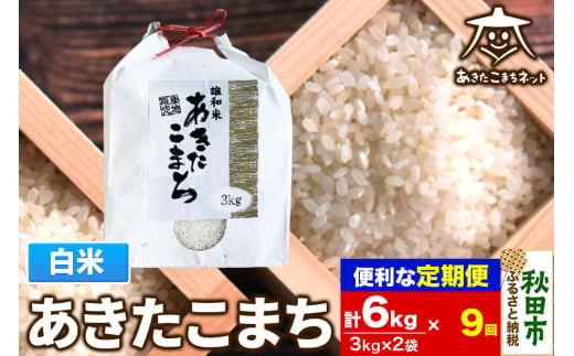 《定期便9ヶ月》あきたこまち 清流米 6kg(3kg×2袋)【白米】 秋田市雄和産 1760134 - 秋田県秋田市