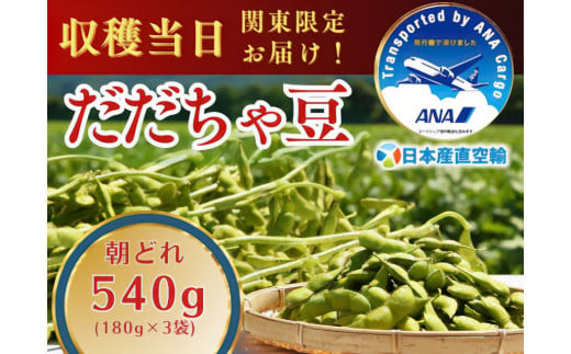 【令和7年産先行予約】朝採れだだちゃ豆 540g (180g×3袋) 【8月中旬お届け】 「産直空輸」で限界鮮度を当日お届け！　山形県鶴岡市特産 942207 - 山形県鶴岡市