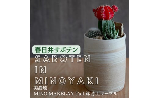 多治見市×春日井市コラボ 【美濃焼】 MINO MAKELAY Tall 鉢 赤土マーブル × 【日本有数のサボテン産地】 春日井市の名店 後藤サボテン