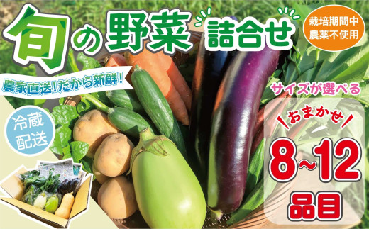 [容量が選べる] 野菜セット (8~12品目) 旬 季節 南知多産 詰め合わせ 農薬・化学肥料不使用 農家おまかせ 季節の野菜 旬の野菜 料理 とりのさと農園 愛知県 南知多町