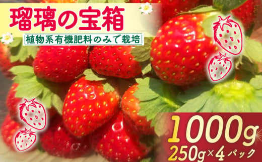 先行予約 いちご 1000g 瑠璃の宝箱 オーガニックイチゴ 250g 4パック 化粧箱入り イチゴ 苺 フルーツ 果物 国産 ブランド 産地 直送 フレッシュ 有機JAS 京都 八幡 八幡市 かみむら農園 1967960 - 京都府京都府庁