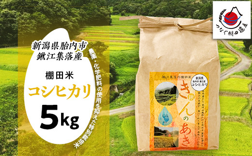 棚田米きんのあき5kg 新潟県胎内市鍬江集落産 コシヒカリ 特別栽培米 1269347 - 新潟県胎内市