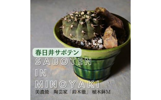 多治見市×春日井市コラボ 【美濃焼】 陶芸家「鈴木徹」 植木鉢 M × 【日本有数のサボテン産地】 春日井市の名店 後藤サボテン 