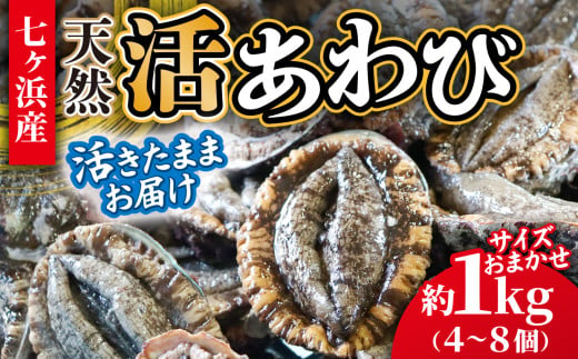 【 年内配送 】 活あわび 約 1kg (4〜8個) 活きたままお届け！エアーポンプ付 冷蔵 蝦夷あわび 《12月22日まで期間限定》サイズおまかせ｜ 七ヶ浜 漁協 鮑 ステーキ アワビ 刺身 肉厚 漁港直送 国産 天然 新鮮 お造り バター焼き 姿煮 高級 ご馳走 大晦日 おせち 高級 宮城県 七ヶ浜町 ｜ jf-aw01-r6 1765030 - 宮城県七ヶ浜町