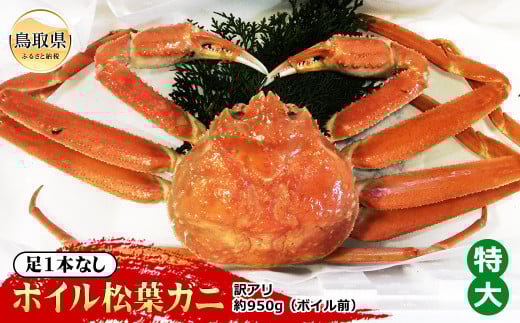 E24-073 【魚倉】足1本なしボイル松葉ガニ訳あり 特大 約950g(ボイル前)【期間限定】 593192 - 鳥取県鳥取県庁