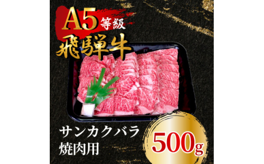 飛騨牛5等級 サンカクバラ焼肉用500g　FTA284【1578300】 1919775 - 岐阜県羽島市