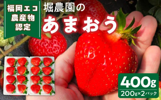 【先行予約】福岡県エコ農産物認定　堀農園のあまおう400g_【先行予約】エコ農産物認定 堀農園 あまおう 200g × 2パック 計 400g 完熟 食べ頃 いちご チルド便 大粒 甘み 程よい 酸味 バランス 絶妙 果汁 ジューシー お取り寄せ 福岡県 久留米市 送料無料_Fi074