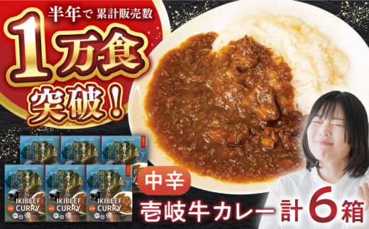 壱岐牛カレー中辛づくし《壱岐市》【アットマーク】常温配送 カレー ご当地カレー レトルト 簡単調理 [JDW041] 1761793 - 長崎県壱岐市