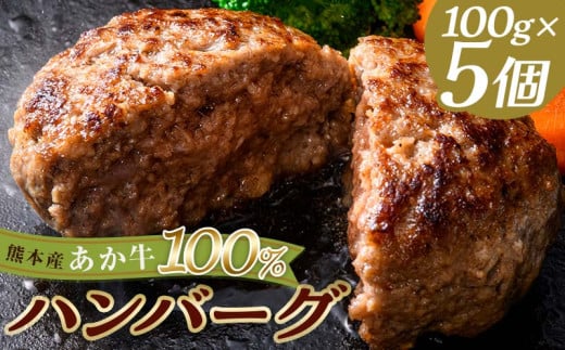 FKK19-998 あか牛100％ハンバーグ（100g×5個）牛 ハンバーグ 牛肉 ビーフ 肉 食品