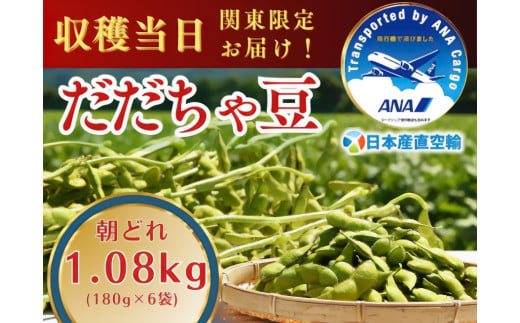 【令和7年産先行予約】朝採れだだちゃ豆 1.08kg (180g×6袋) 【8月中旬お届け】 「産直空輸」で限界鮮度を当日お届け！　山形県鶴岡市特産 886695 - 山形県鶴岡市