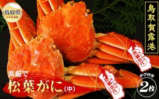 E25-010 鳥取賀露港　浜茹で松葉がに（中）【期間限定】