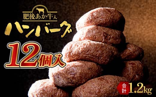 FKK19-997 あか牛入りハンバーグ100g×12個 牛 ハンバーグ 牛肉 ビーフ 肉 食品