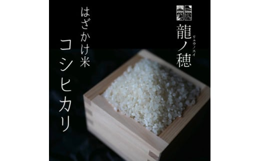 ＜新米・令和6年産＞南信州産はざかけ米　コシヒカリ3kg【1577125】 1796794 - 長野県飯田市