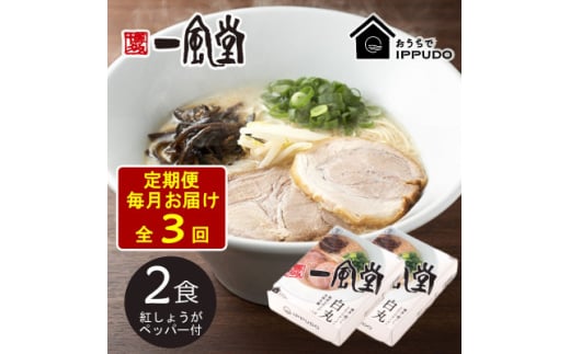 ＜毎月定期便＞一風堂 豚骨ラーメン白丸1食箱×2箱 とんこつ 博多細麺 紅しょうがペッパー付全3回【4061360】 1773962 - 長野県茅野市