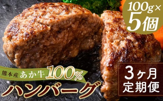 FKK19-999 【3ヵ月定期便】あか牛100％ハンバーグ（100g×5個）牛 ハンバーグ 牛肉 ビーフ 肉 食品