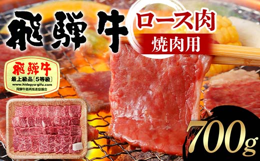 飛騨牛 A5等級 ロース肉 焼肉用 700g 牛 肉 等級 ロース 焼き肉 霜降り 飛騨 F4N-1693 1856699 - 岐阜県中津川市