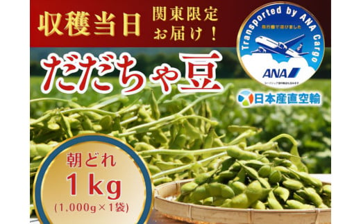 【令和7年産先行予約】朝採れだだちゃ豆 1kg (1kg×1袋) 【8月下旬お届け】 「産直空輸」で限界鮮度を当日お届け！　山形県鶴岡市特産 1738699 - 山形県鶴岡市