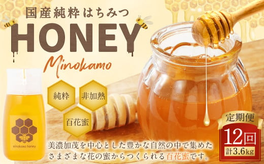 【12ヶ月定期便】MINOKAMO HONEY はちみつ 1本（300g）×12回 ｜ 藤井養蜂 蜂蜜 ハニー 非加熱 無添加 純粋 百花蜜 国産 保存食 定期便 岐阜 1467457 - 岐阜県美濃加茂市