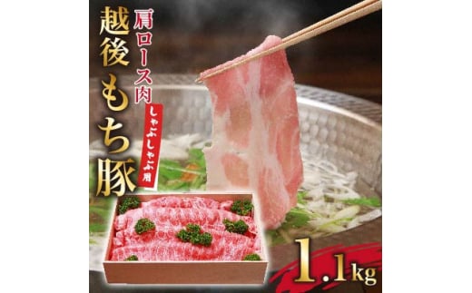 [小分けパックがうれしい] 越後もち豚肩ロース肉(しゃぶしゃぶ用) 合計1.1kg【1577696】