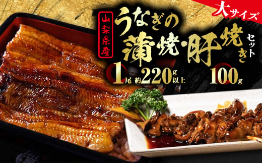 ＜大サイズ＞山梨県産富士山脈の地下水うなぎ蒲焼1尾220g以上+100g肝焼きセット_ うなぎ 国産 ウナギ 鰻 蒲焼 蒲焼き 肝焼き セット 山梨県 惣菜 土用 丑の日 うな丼 うな重 おかず おつまみ 簡単調理 養殖 冷凍 送料無料 【1566345】 1546484 - 山梨県山梨市