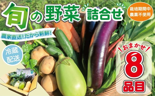 野菜セット (8品目) 旬 季節 南知多産 詰め合わせ 農薬･化学肥料不使用 農家おまかせ 季節の野菜 旬の野菜 料理 とりのさと農園 愛知県 南知多町