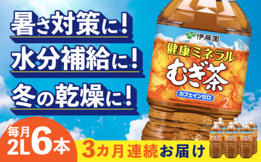 [3回定期便] 伊藤園 健康ミネラルむぎ茶 2L×6本入り 麦茶 飲み物 ペットボトル 岐阜市/伊藤園 岐阜支店 [ANCX008]