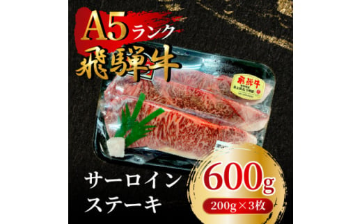 飛騨牛5等級 サーロインステーキ600g(200g×3枚)　FTA166【1576994】 1919758 - 岐阜県羽島市