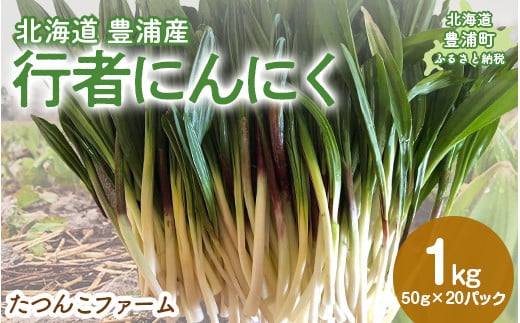 北海道豊浦産 行者にんにく50g×20パック 【 ふるさと納税 人気 おすすめ ランキング 野菜 根菜 にんにく 行者 大容量 おいしい 美味しい 新鮮 北海道 豊浦町 送料無料 】 TYUF010 1765331 - 北海道豊浦町