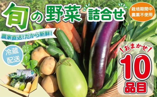 野菜セット (10品目) 旬 季節 南知多産 詰め合わせ 農薬･化学肥料不使用 農家おまかせ 季節の野菜 旬の野菜 料理 とりのさと農園 愛知県 南知多町 1806750 - 愛知県南知多町