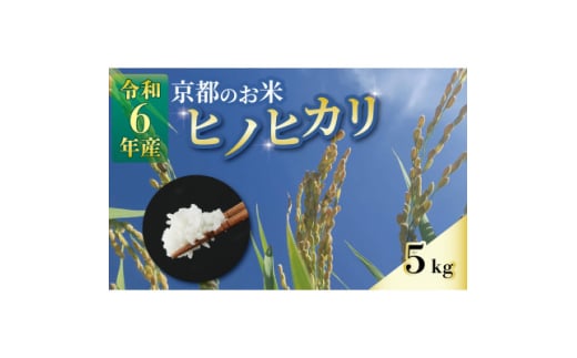 ＜数量限定＞京都のお米 ヒノヒカリ 5kg【1576221】