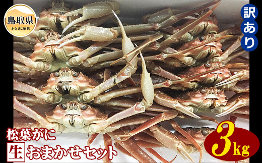 E24-076 【魚倉】松葉がに 生 おまかせセット 3kg 訳あり【期間限定】