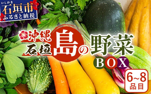 石垣島産 野菜 BOX 1箱(定番・旬の野菜6~8種類)野菜パワーをあなたに!!|沖縄 石垣島 直送 旬 新鮮 島野菜 野菜セット 野菜 やさい 季節のお野菜 旬の野菜セット やさいセット 島野菜 島やさい 詰め合わせ CK-1