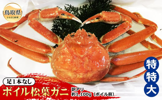 F24-071 【魚倉】足1本なしボイル松葉ガニ訳あり 特特大 約1,100g（ボイル前）【期間限定】